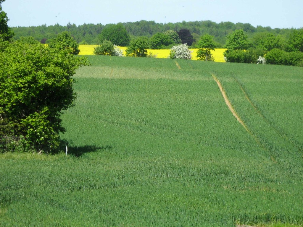 Landschaft_Kuechenfenster